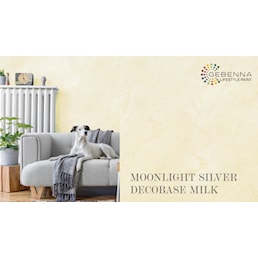 MOONLIGHT SILVER MILK.jpg